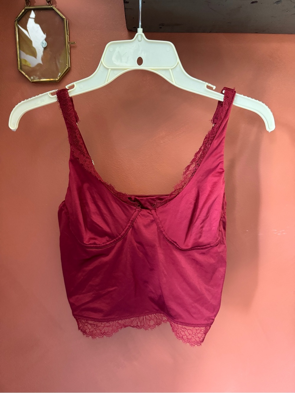 aerie Wine Lace-Trim Cami Tank